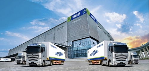 冷链物流 河南食品产业新格局的关键引擎与专业支撑